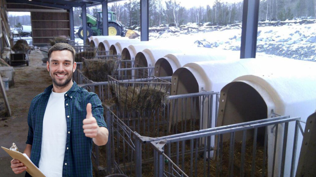 Winteruntersuchung für junge Kälber