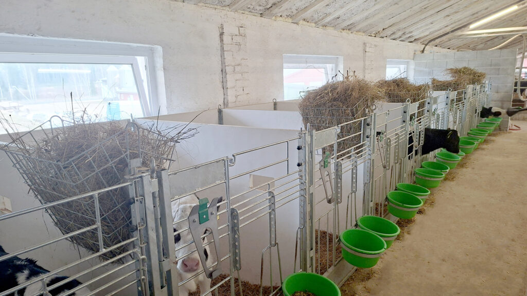 Box per vitelli Connect in Lettonia